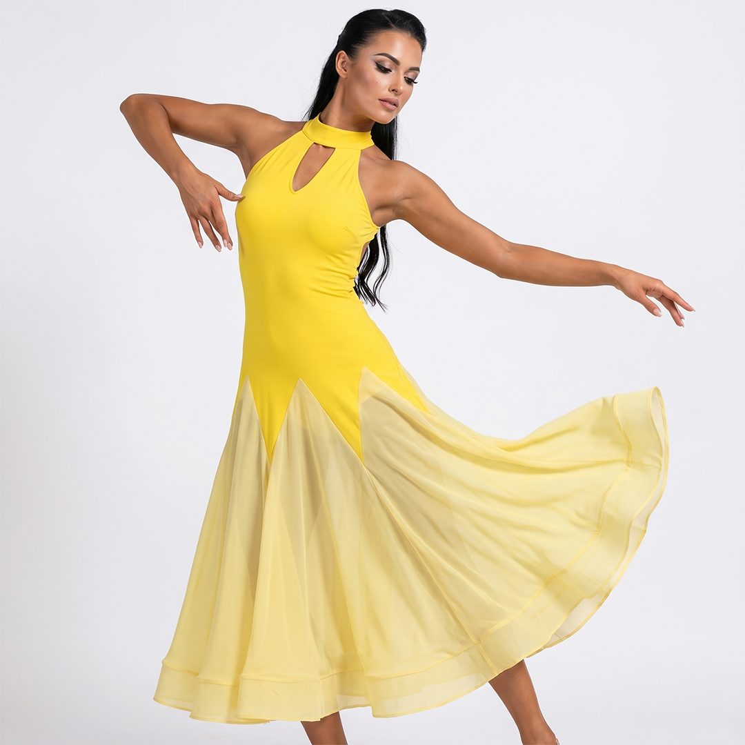 Customisable-Women's Sleeveless Modern Dance Performance Dress Ballroom Dance Dress