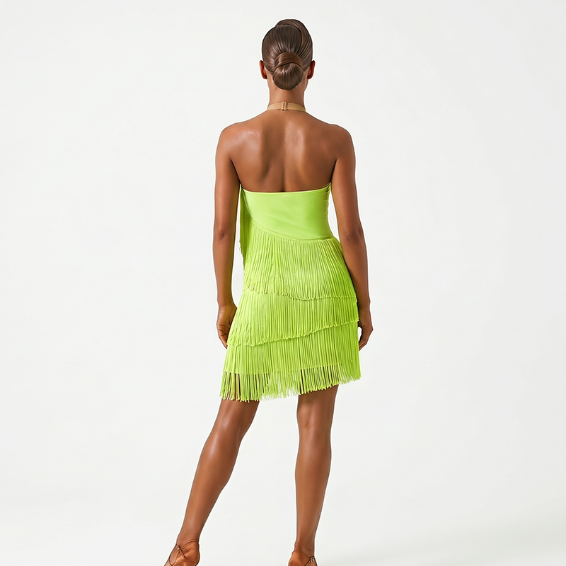 Customisable-Women's Performance Sleeveless Tassel Latin Salsa Dance Dress Competition Dress