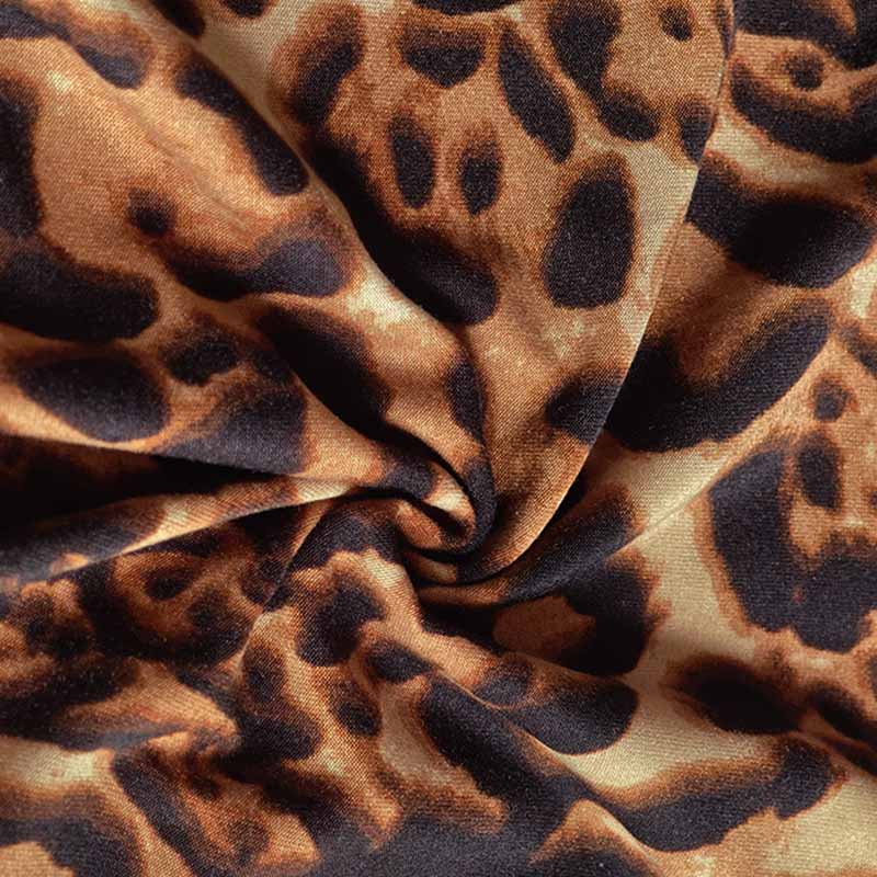 HC Women's Leopard Long Sleeve V Neck Latin Dance Tops Dance Wear Training Performance Bodysuit