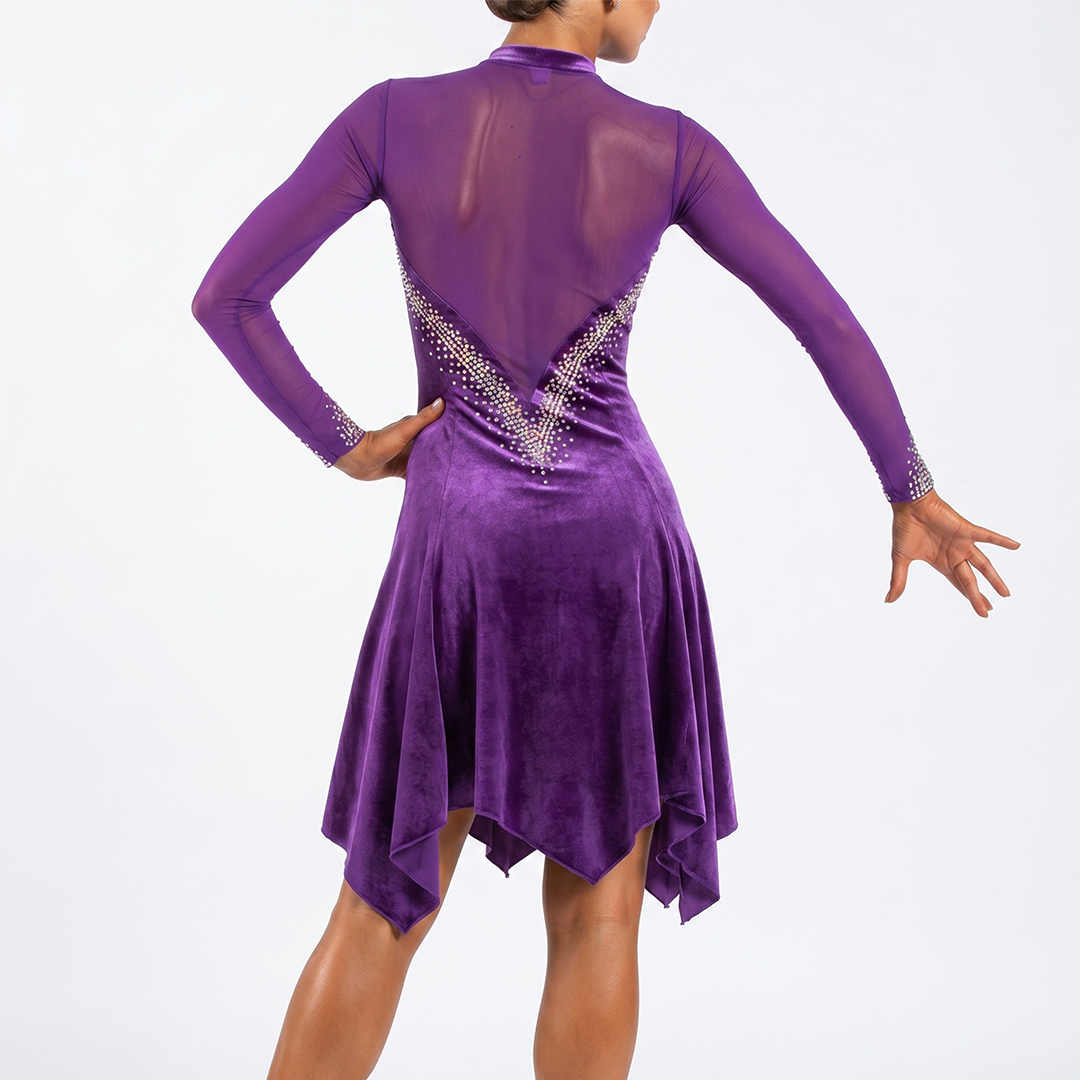 Customisable-Women's Performance Long Sleeve Velvet Tassels Latin Salsa Dance Dress Competition Dress