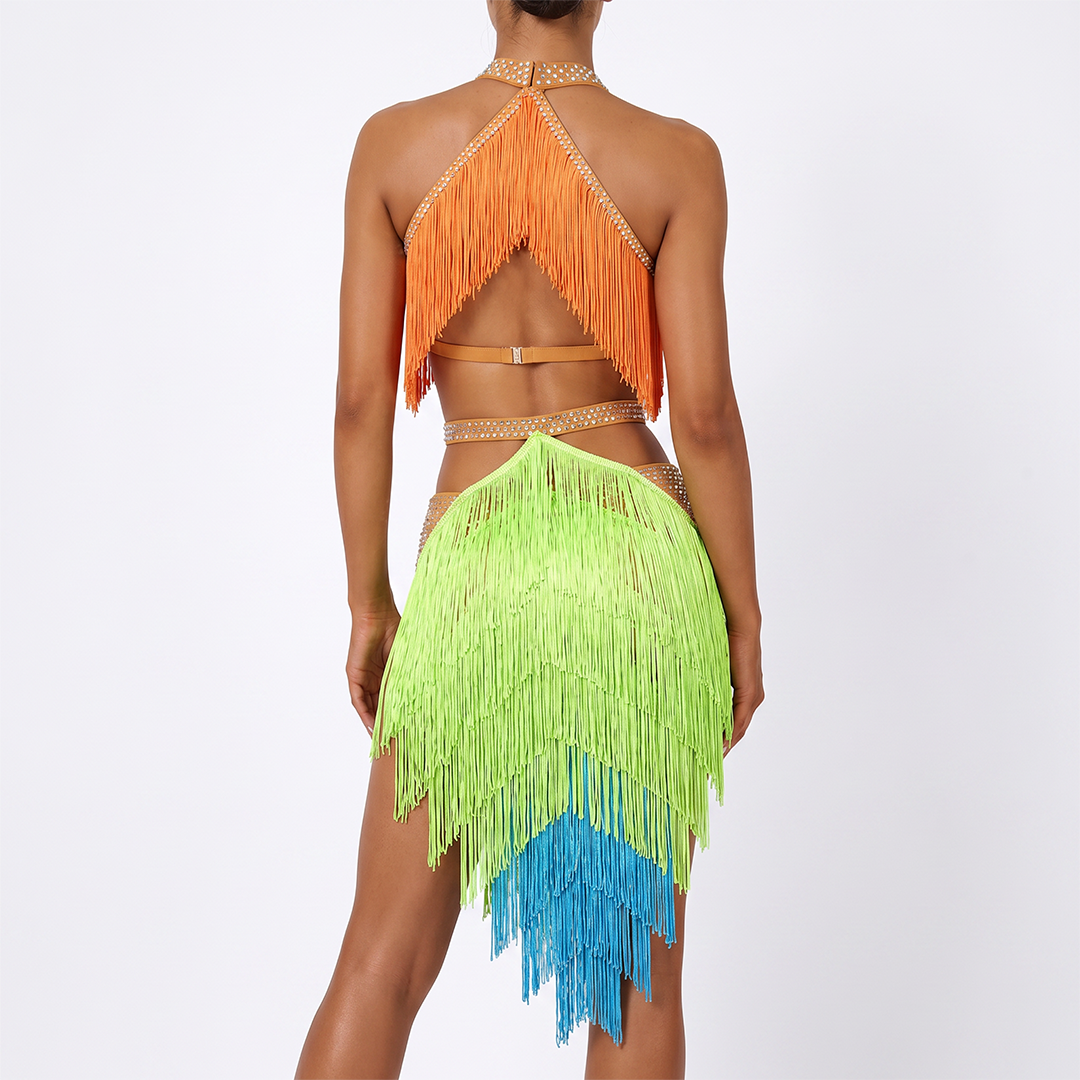 Customisable-Women's Tassel DanceWear Dance Dress Performance Wear