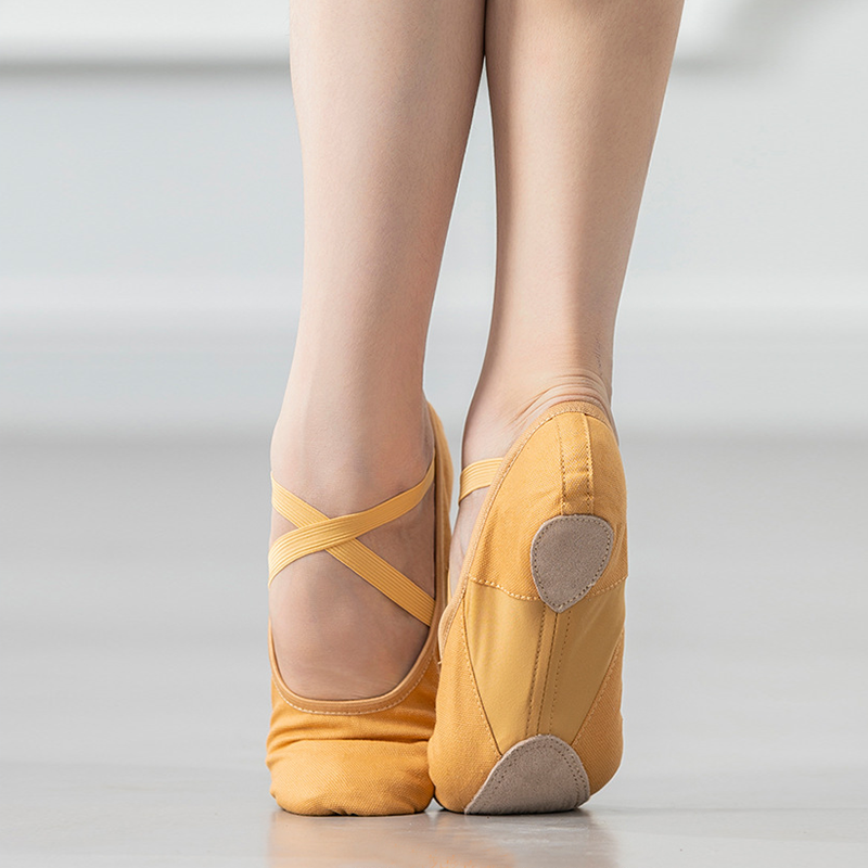 WY Women's Canvas Split-Sole Ballet Shoes
