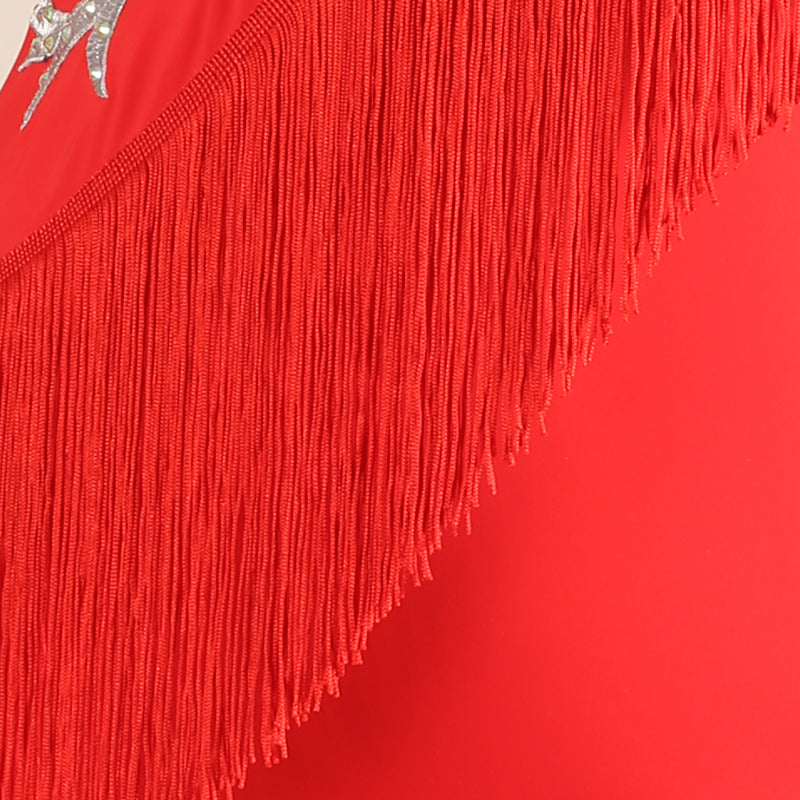 Customisable-Women's Long Sleeve Red Tassel Modern Dance Performance Dress Ballroom Dance Dress