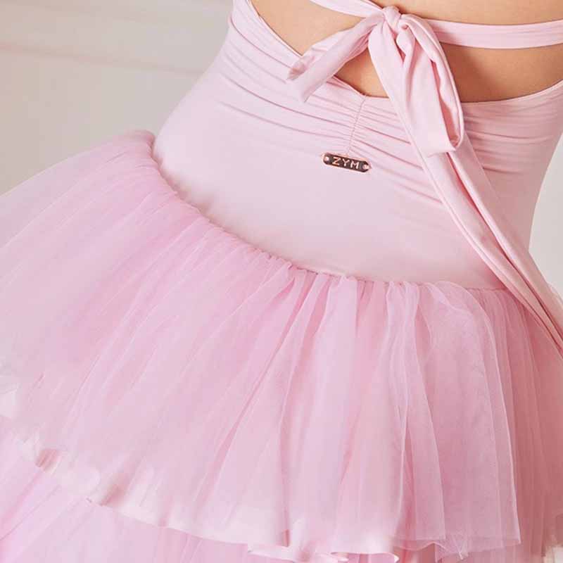 Z Girls Latin Dance Dress Training Performance Dance Wear(Without Flower)