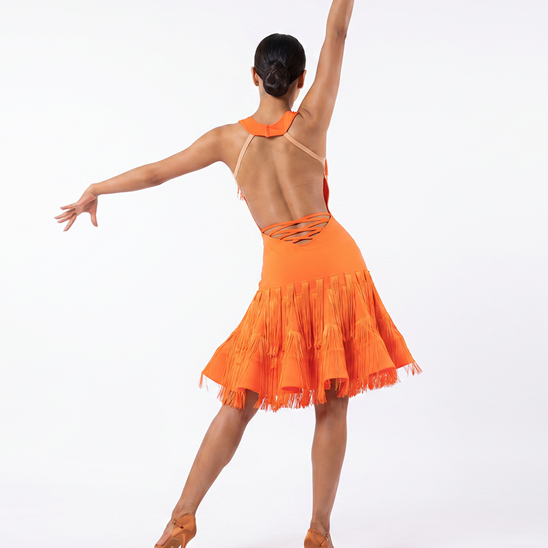Customisable-Women's V-neck Tassel Backless Dancewear Dance Dress Performance Dress