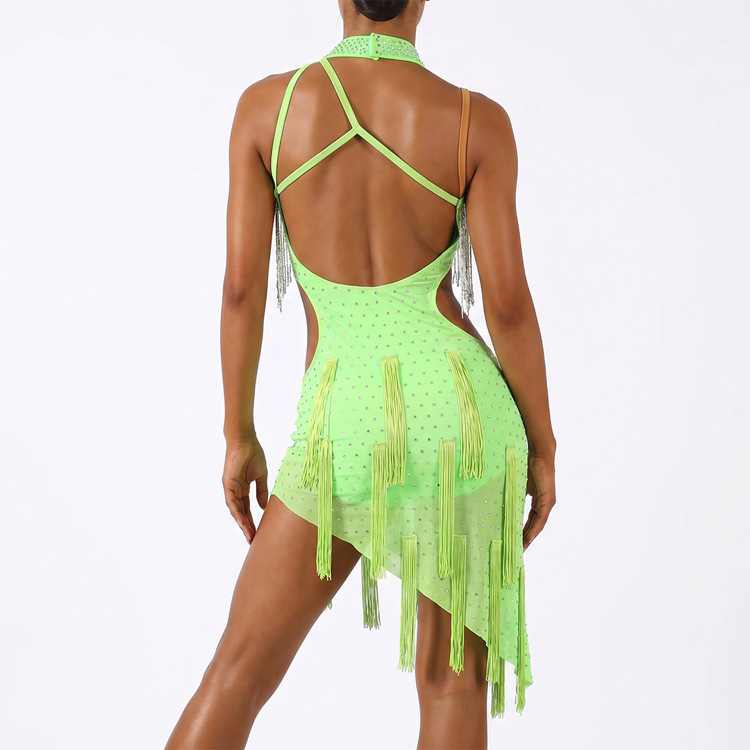 Customisable-Women's Performance Sleeveless Tassels Latin Salsa Dance Dress Competition Dress
